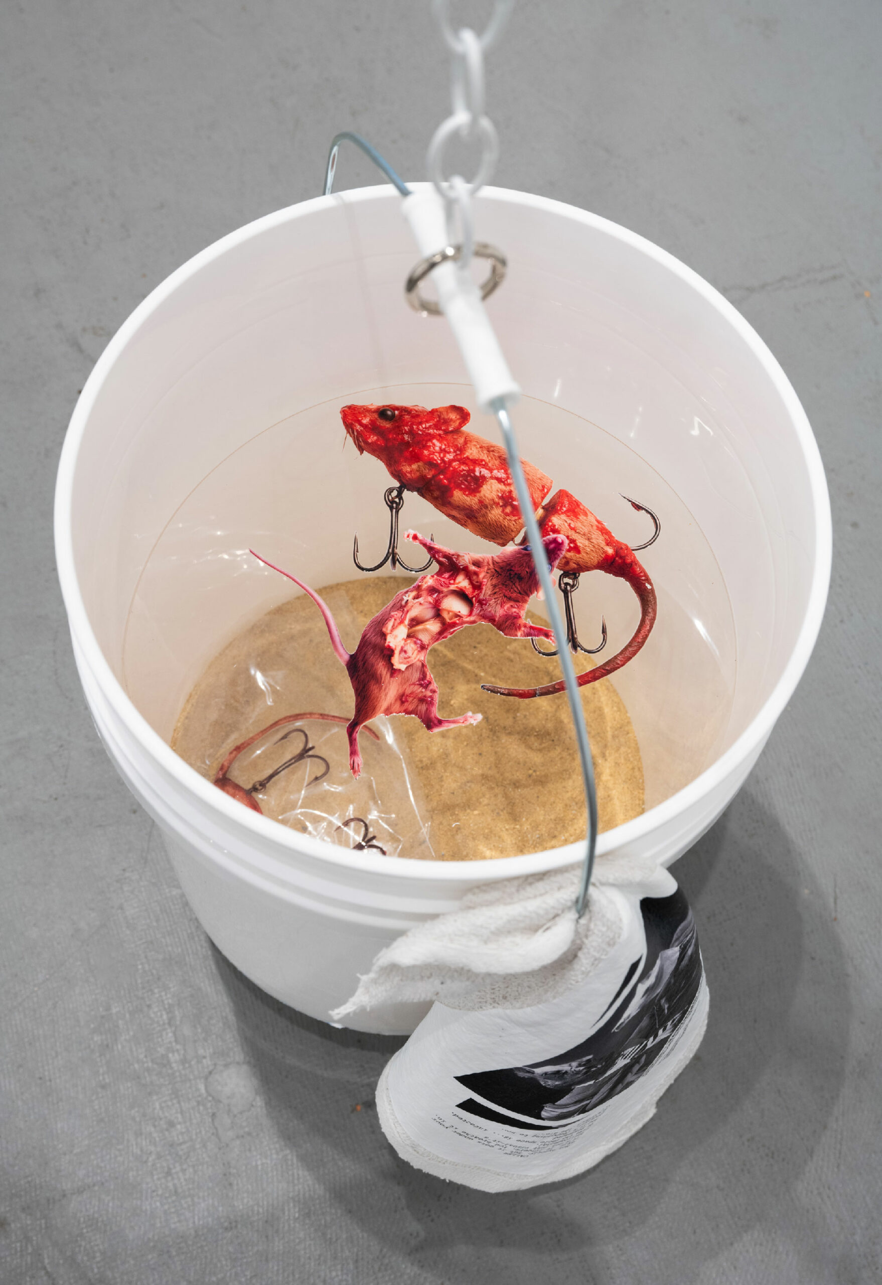 Wickerham & Lomax | The Return of American Pest